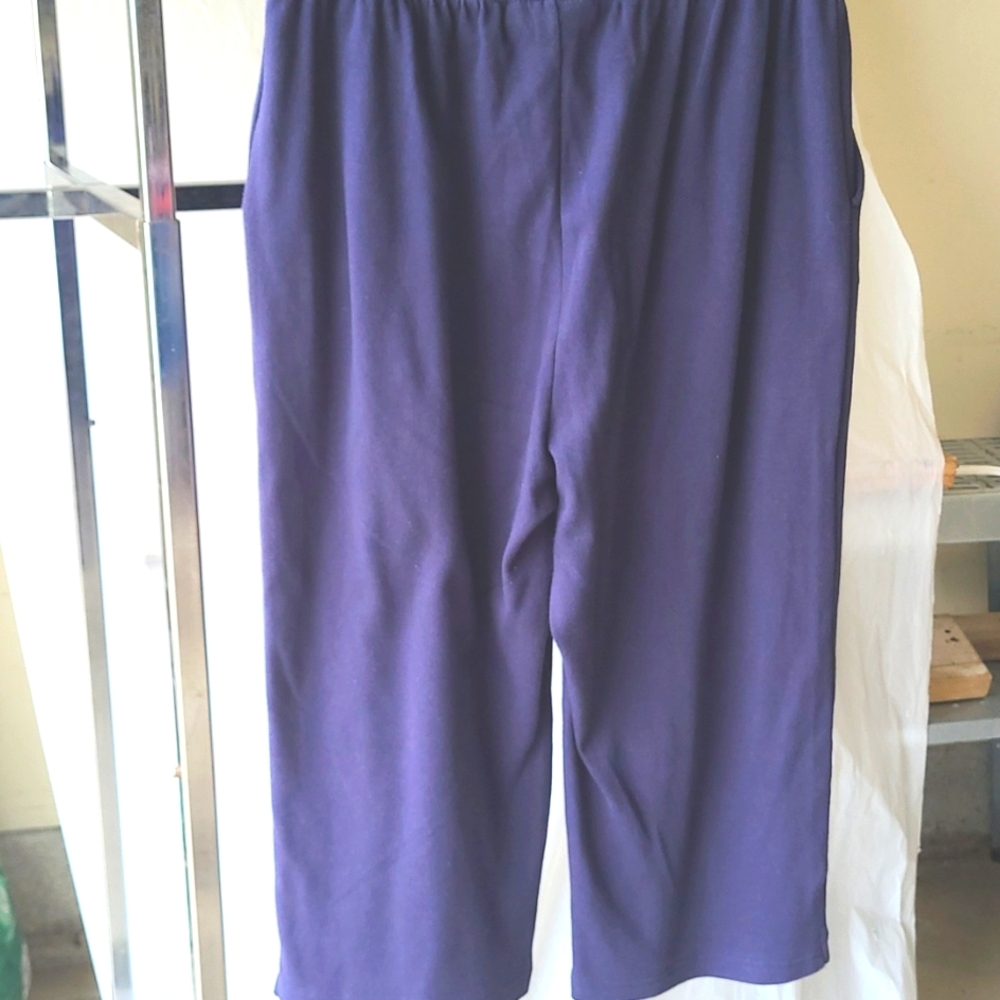 Woman Within Knit Capris - Picture 4 of 7